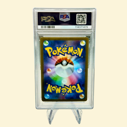 Blaziken #101